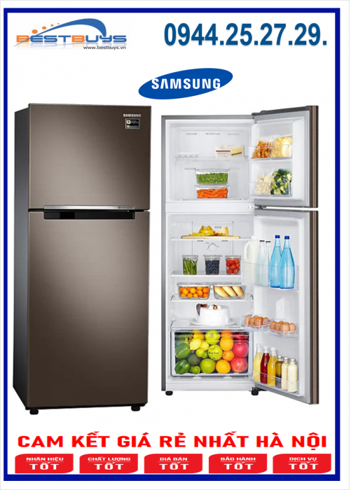 Tủ lạnh Samsung inverter 243 lít RT22M4040DX/SV