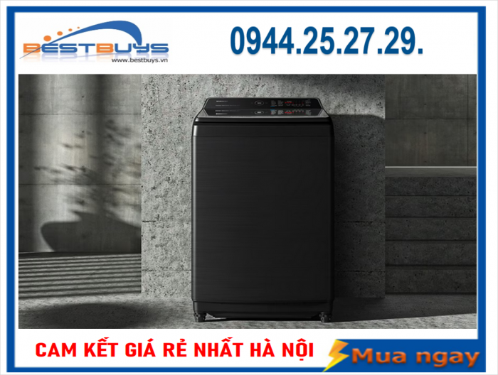 Máy giặt Samsung Inverter 17 kg WA17CG6886BVSV
