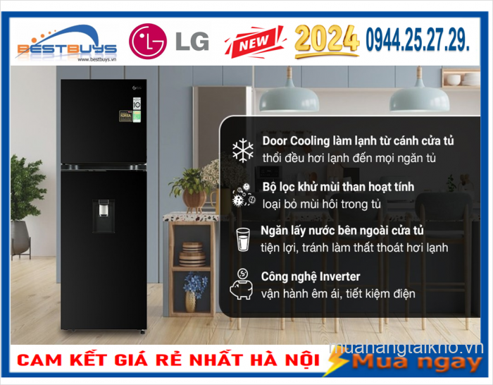 Tủ lạnh LG Inverter 315 Lít LTD31BLM Mới 2024