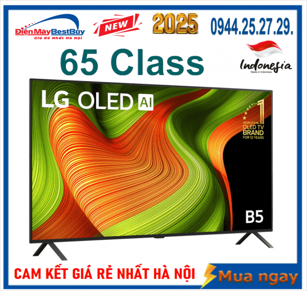Tivi LG OLED AI 4K 65 inch OLED 65B5PSA New 2025