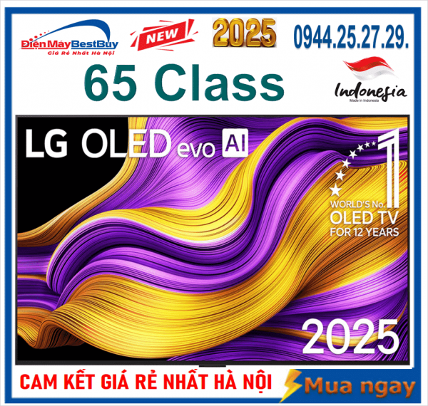 Tivi OLED evo LG AI 4K 65 inch 65G5PSA New 2025