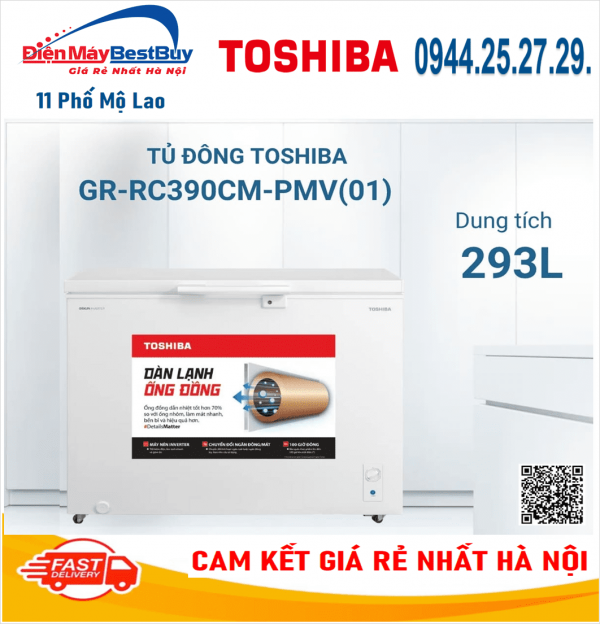 TỦ ĐÔNG TOSHIBA 293L GR-RC390CM-PMV(01)