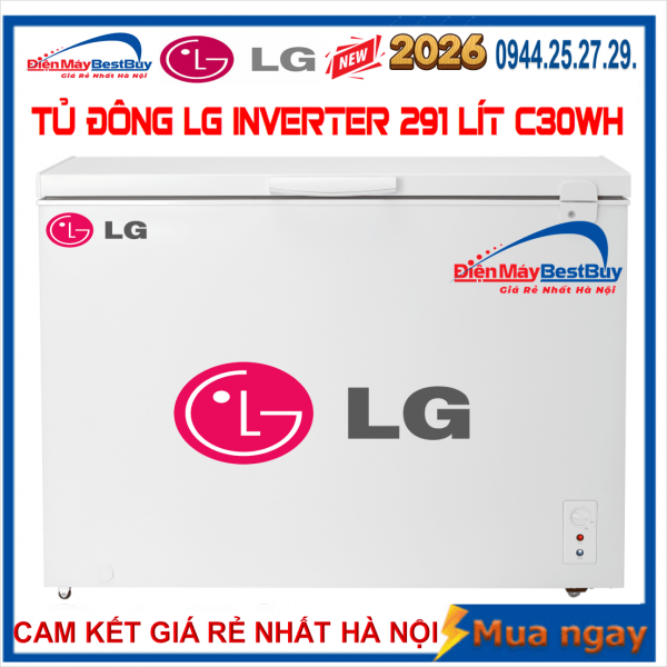 Tủ đông LG C30WH Inverter 291 lít 2025