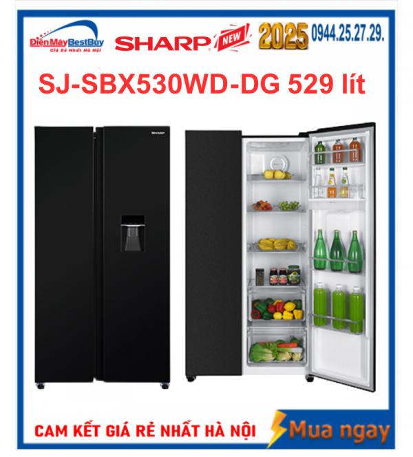 Tủ lạnh Sharp SJ-SBX530WD-DG Inverter 529 lít 
