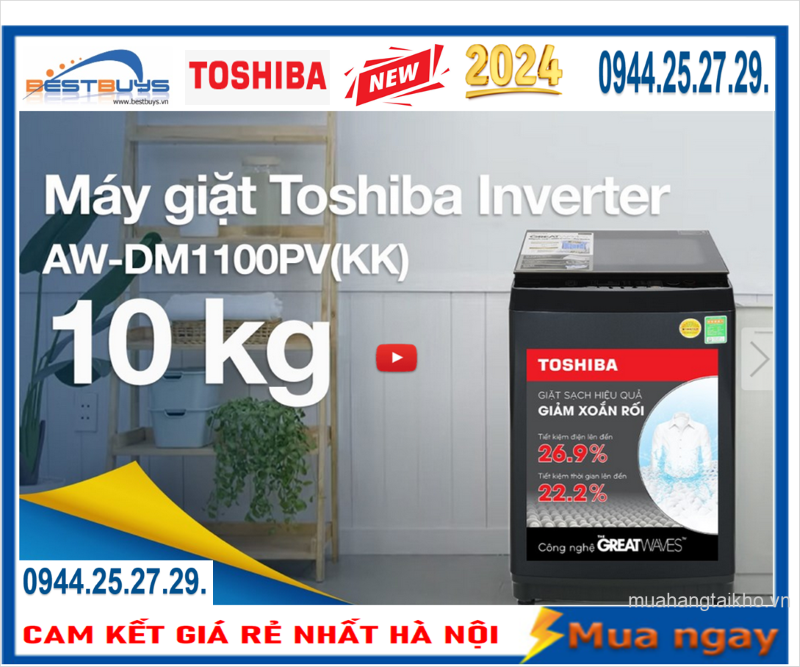 Máy giặt Toshiba AW-DM1100PV(KK) Inverter lồng đứng 10kg