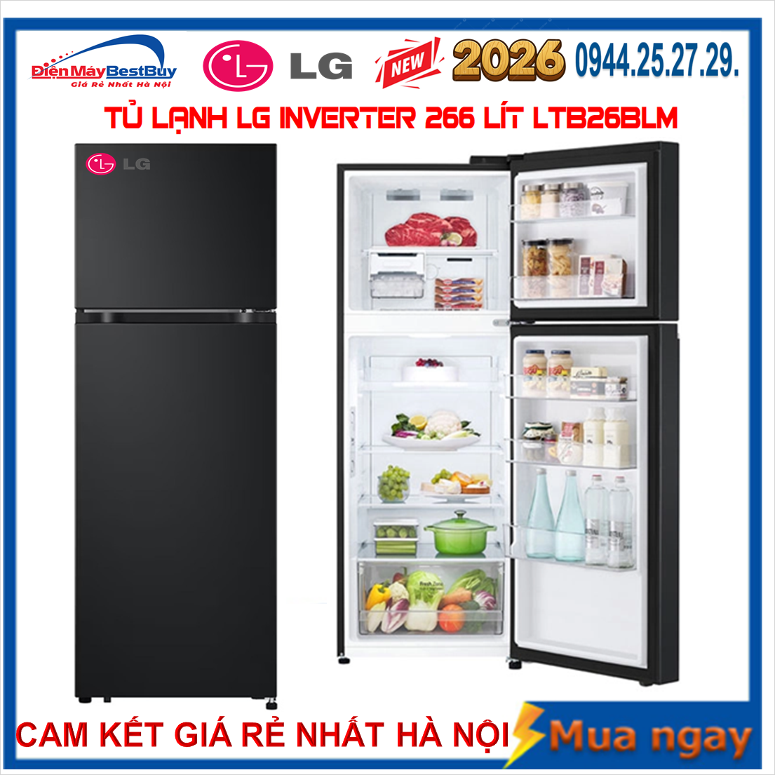Tủ lạnh LG LTB26BLM Inverter 266 lít